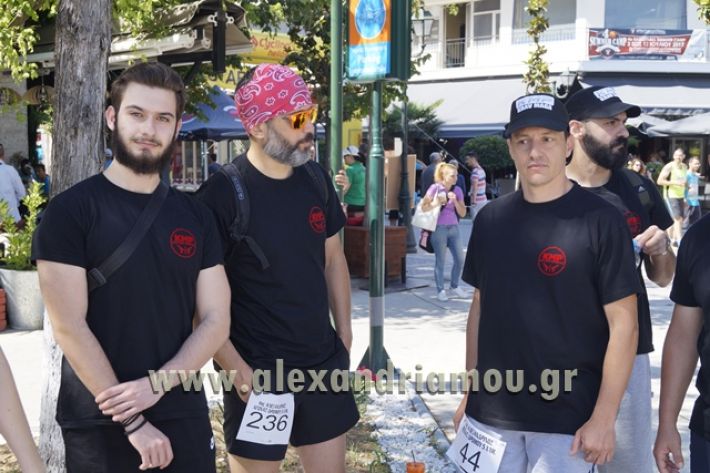 alexandriamou_1_alexandrinos_dromos149